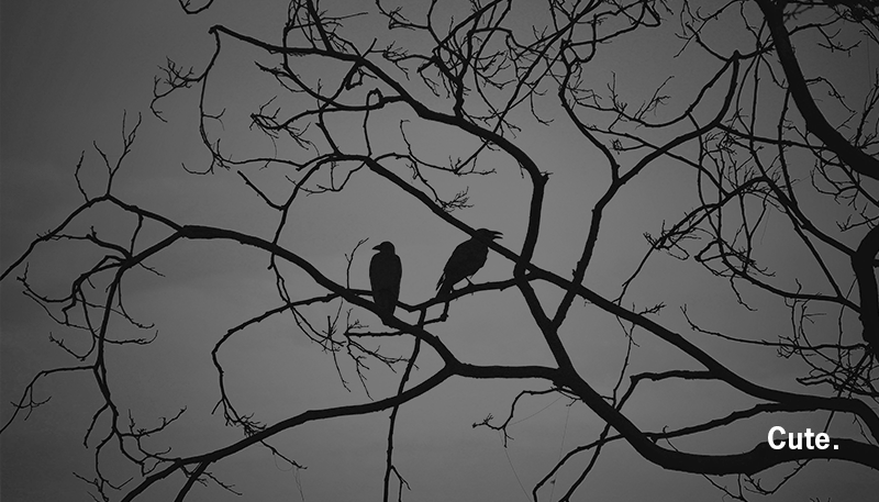 Exclusive Evil - More Sci-Fi Warnings to Ignore